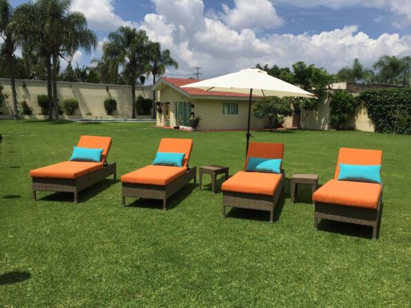 Imagen de WhatsApp 2025-09-18 a las 13.04.01_62ef57fe