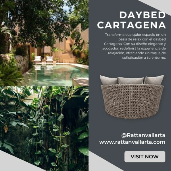 Daybed Cartagena 2