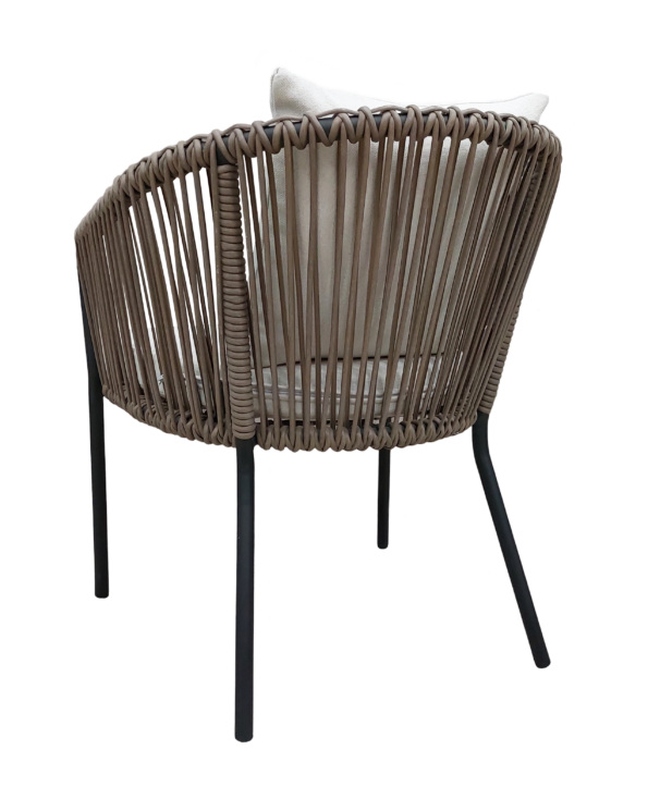 Silla Eko Perspectiva 1